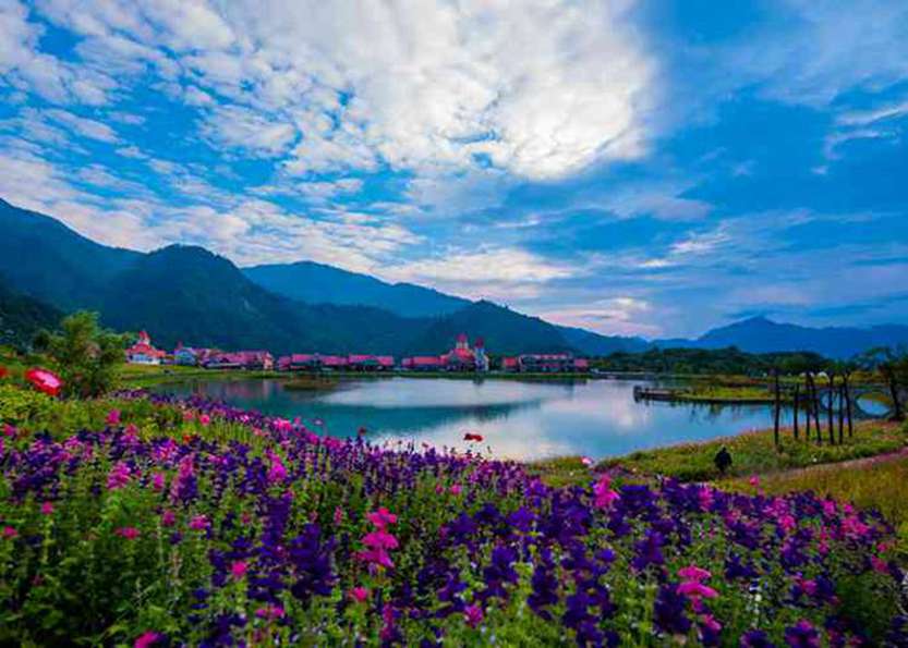 六日游 华东少年梦想家--进名校 玩转迪士尼 双动研学旅游团-第2张图片-四川省中国青年旅行社